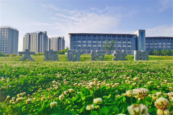 CPO竞价强势，科技股大涨