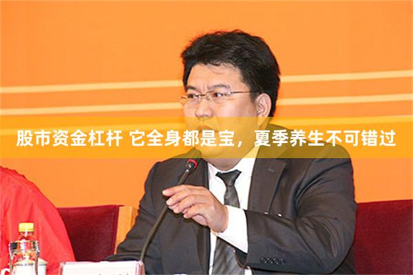 股市资金杠杆 它全身都是宝，夏季养生不可错过