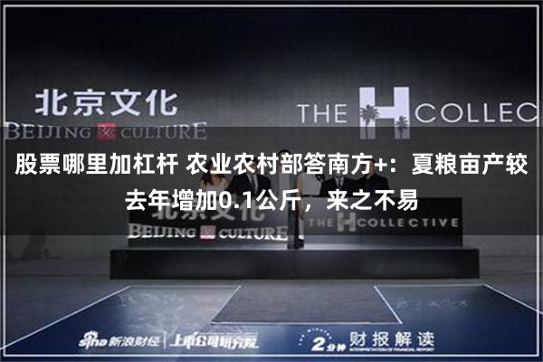 股票哪里加杠杆 农业农村部答南方+：夏粮亩产较去年增加0.1公斤，来之不易