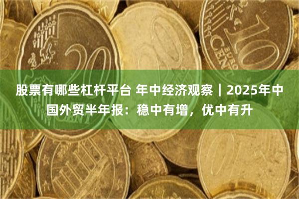 股票有哪些杠杆平台 年中经济观察｜2025年中国外贸半年报：稳中有增，优中有升