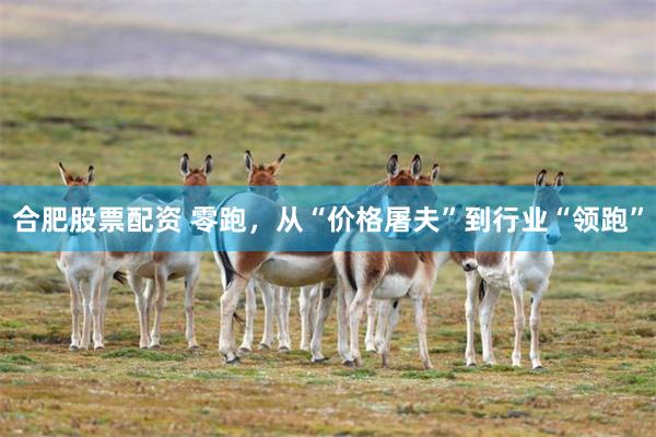 合肥股票配资 零跑，从“价格屠夫”到行业“领跑”