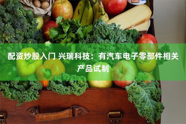 配资炒股入门 兴瑞科技：有汽车电子零部件相关产品试制