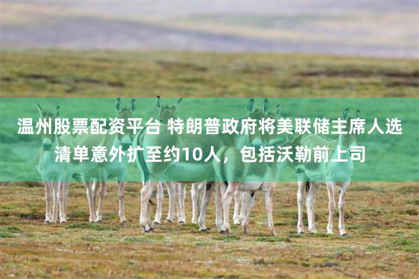 温州股票配资平台 特朗普政府将美联储主席人选清单意外扩至约10人，包括沃勒前上司