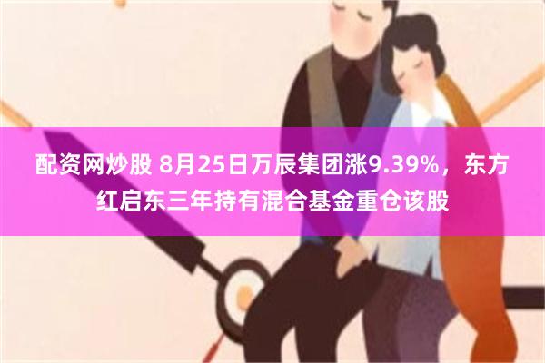 配资网炒股 8月25日万辰集团涨9.39%，东方红启东三年持有混合基金重仓该股