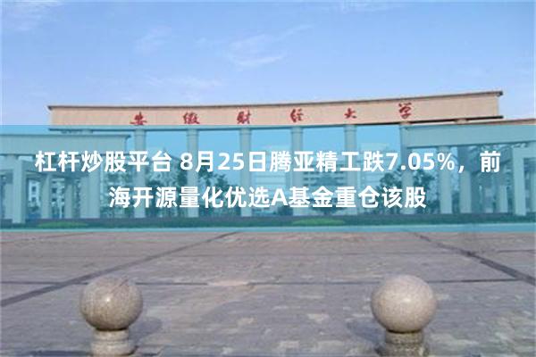 杠杆炒股平台 8月25日腾亚精工跌7.05%，前海开源量化优选A基金重仓该股