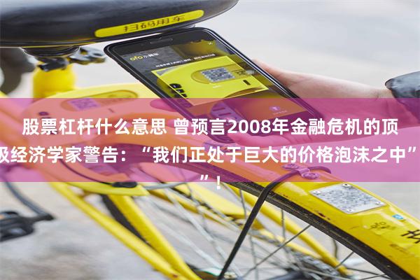 股票杠杆什么意思 曾预言2008年金融危机的顶级经济学家警告:“我们正处于巨大的价格泡沫之中”!
