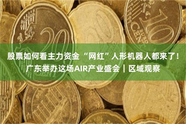 股票如何看主力资金 “网红”人形机器人都来了！广东举办这场AIR产业盛会｜区域观察