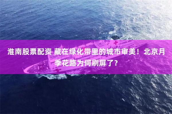 淮南股票配资 藏在绿化带里的城市审美！北京月季花路为何刷屏了？
