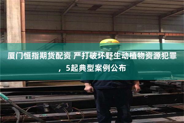 厦门恒指期货配资 严打破坏野生动植物资源犯罪，5起典型案例公布