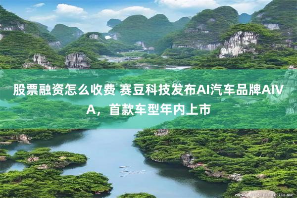 股票融资怎么收费 赛豆科技发布AI汽车品牌AIVA，首款车型年内上市