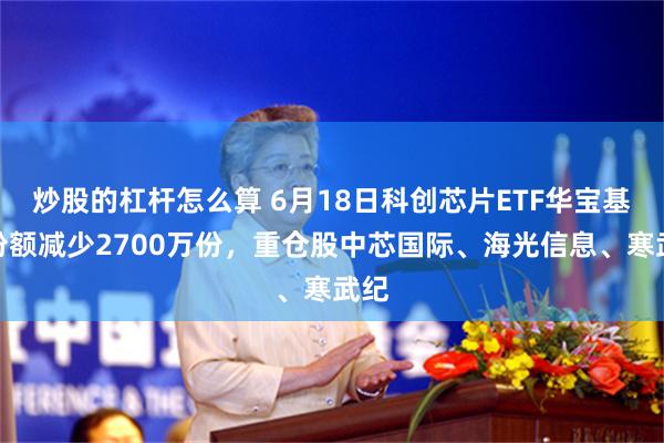 炒股的杠杆怎么算 6月18日科创芯片ETF华宝基金份额减少2700万份,重仓股中芯国际、海光信息、寒武纪