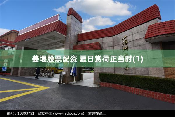 姜堰股票配资 夏日赏荷正当时(1)