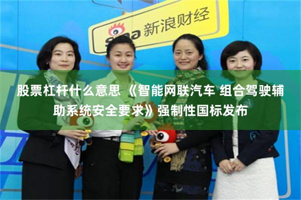 股票杠杆什么意思 《智能网联汽车 组合驾驶辅助系统安全要求》强制性国标发布