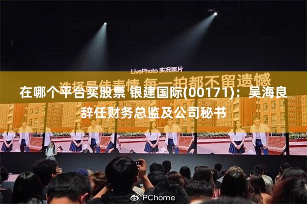 在哪个平台买股票 银建国际(00171)：吴海良辞任财务总监及公司秘书
