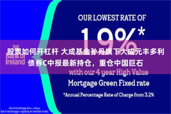 股票如何开杠杆 大成基金孙丹旗下大成元丰多利债券C中报最新持仓，重仓中国巨石