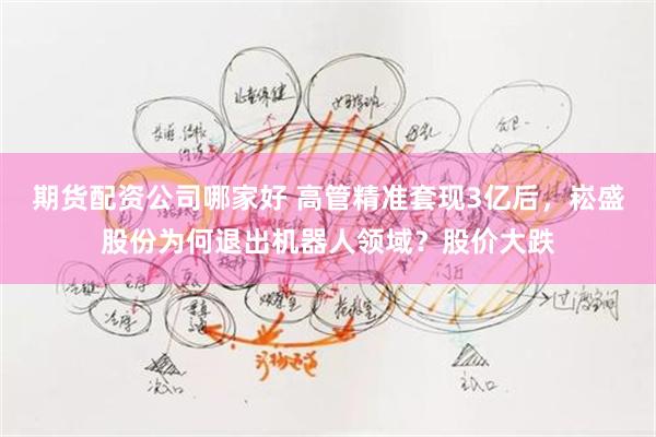 期货配资公司哪家好 高管精准套现3亿后，崧盛股份为何退出机器人领域？股价大跌