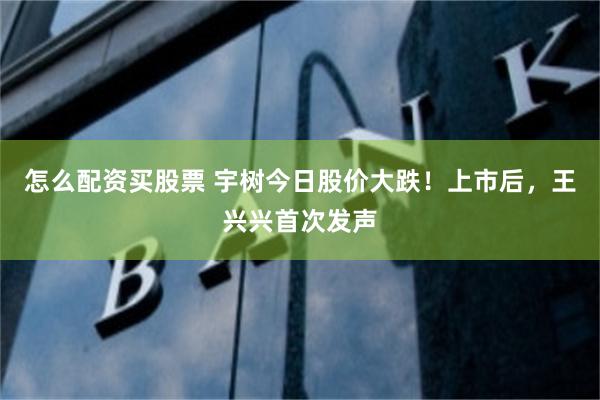 怎么配资买股票 宇树今日股价大跌！上市后，王兴兴首次发声