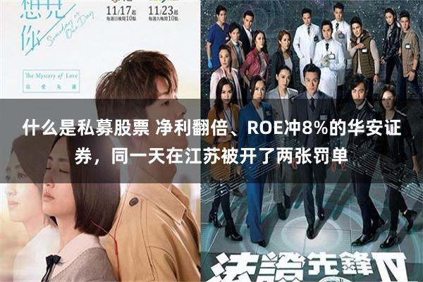 什么是私募股票 净利翻倍、ROE冲8%的华安证券，同一天在江苏被开了两张罚单
