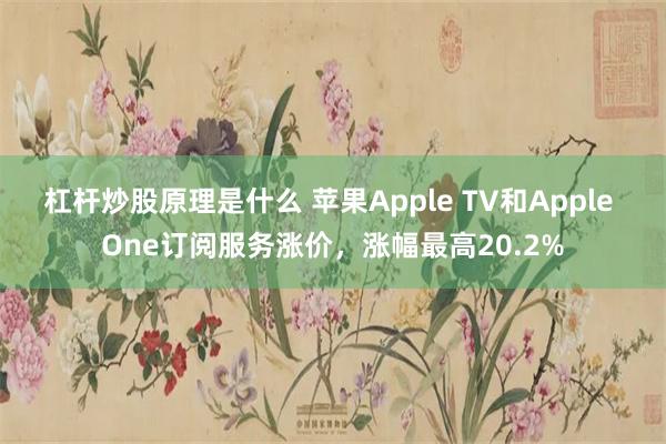 杠杆炒股原理是什么 苹果Apple TV和Apple One订阅服务涨价，涨幅最高20.2%