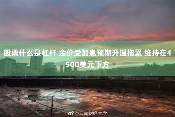 股票什么是杠杆 金价受加息预期升温拖累 维持在4500美元下方